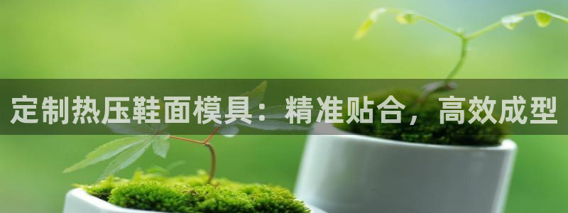 易倍纤减肥价格：定制热压鞋面模具：精准贴合，高效成型