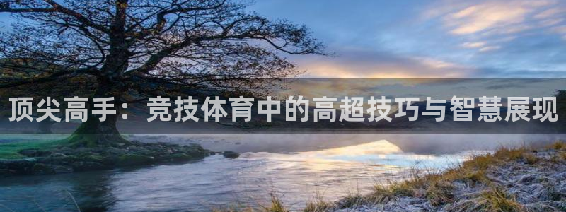 xc体育app官方网站：顶尖高手：竞技体育中的高超技巧与智慧展现