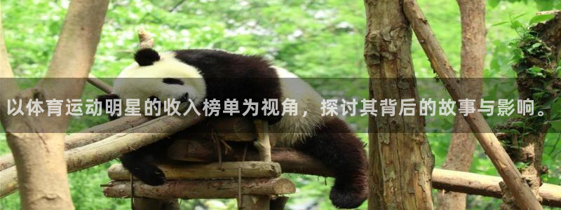 xc体育app官方网站