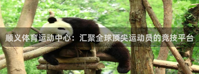 xc体育app官方网站：顺义体育运动中心：汇聚全球顶尖运动员的竞技平台