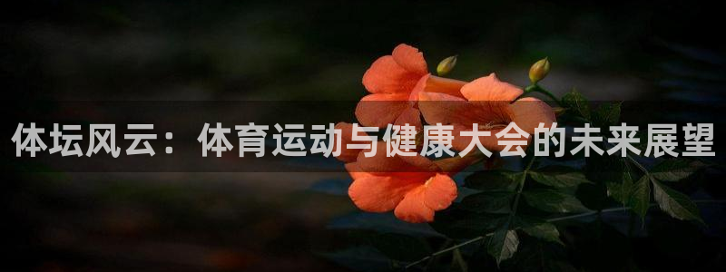 xc体育