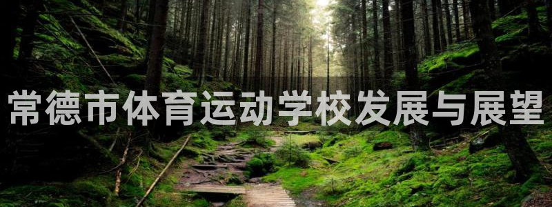xc体育app官方网站