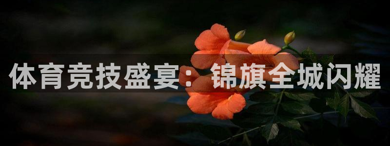 xc体育app官方网站