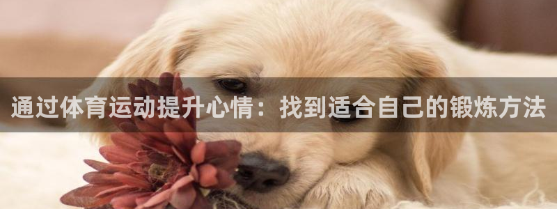 xc体育app官方网站