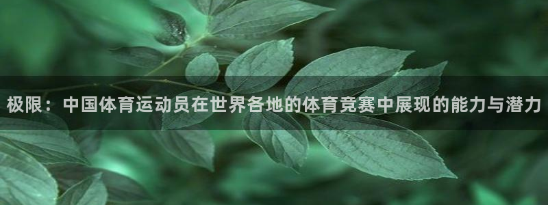 xc体育app官方网站