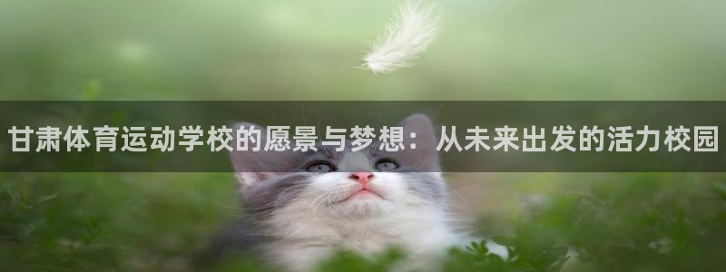 xc体育app官方网站