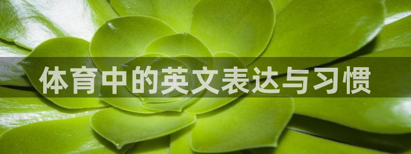 xc体育