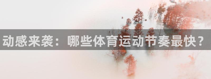 xc体育