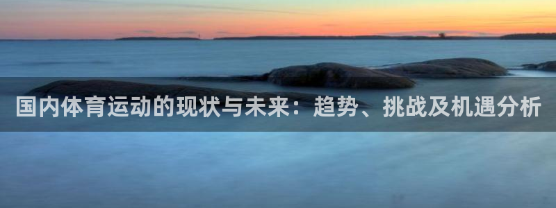 xc体育app官方网站：国内体育运动的现状与未来：趋势、挑战及机遇分析