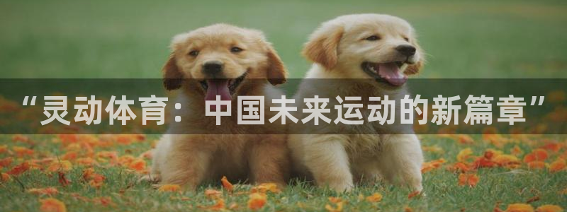 xc体育