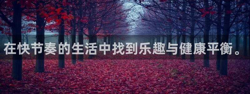 xc体育