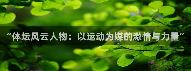 xc体育app官方网站