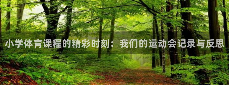 xc体育