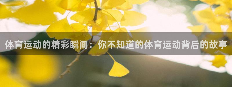 xc体育：体育运动的精彩瞬间：你不知道的体育运动背后的故事