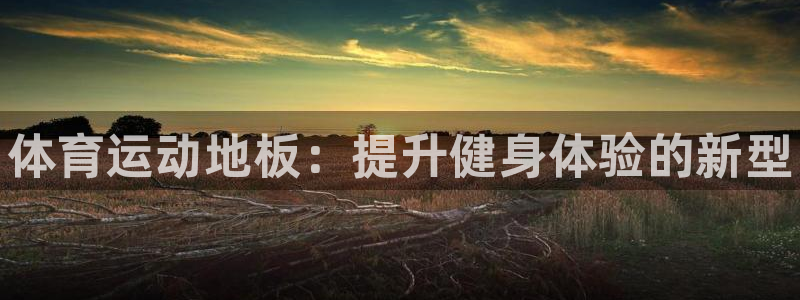 xc体育：体育运动地板：提升健身体验的新型