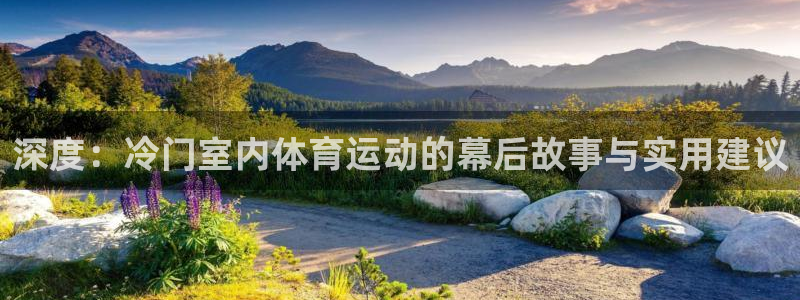 xc体育app官方网站：深度：冷门室内体育运动的幕后故事与实用建议