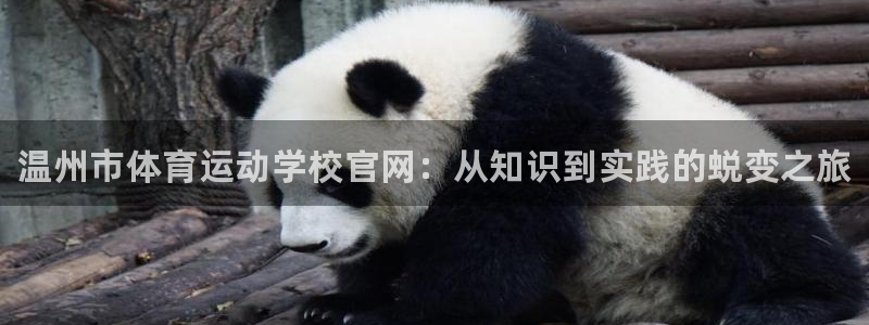 xc体育：温州市体育运动学校官网：从知识到实践的蜕变之旅