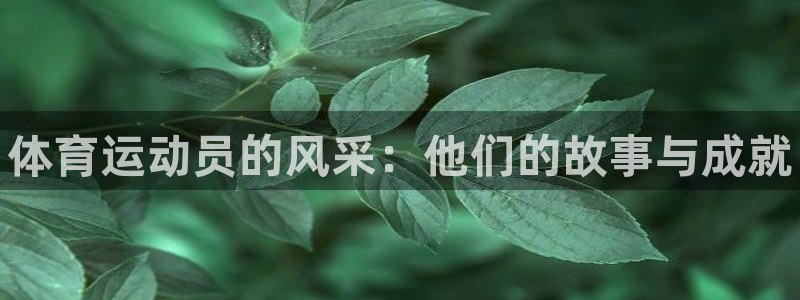 xc体育app官方网站：体育运动员的风采：他们的故事与成就