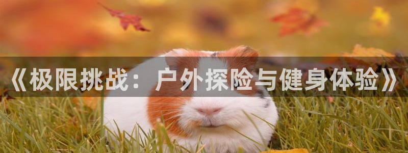 xc体育app官方网站：《极限挑战：户外探险与健身体验》