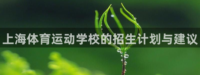 xc体育app官方网站：上海体育运动学校的招生计划与建议