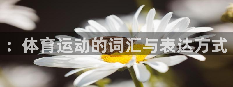 xc体育：：体育运动的词汇与表达方式
