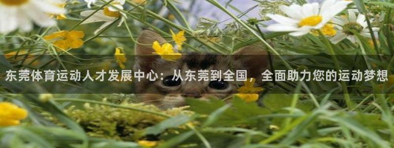 xc体育app官方网站：东莞体育运动人才发展中心：从东莞到全国，全面助力您的运动梦想