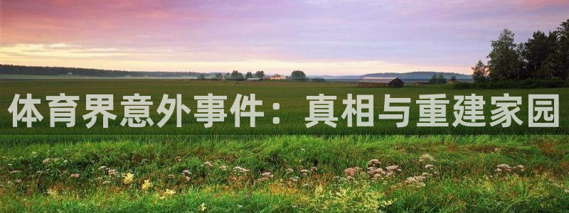 xc体育：体育界意外事件：真相与重建家园