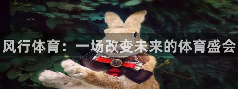 xc体育：风行体育：一场改变未来的体育盛会