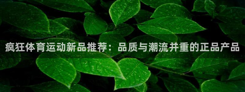 xc体育app官方网站：疯狂体育运动新品推荐：品质与潮流并重的正品产品
