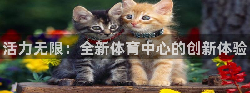 xc体育app官方网站：活力无限：全新体育中心的创新体验