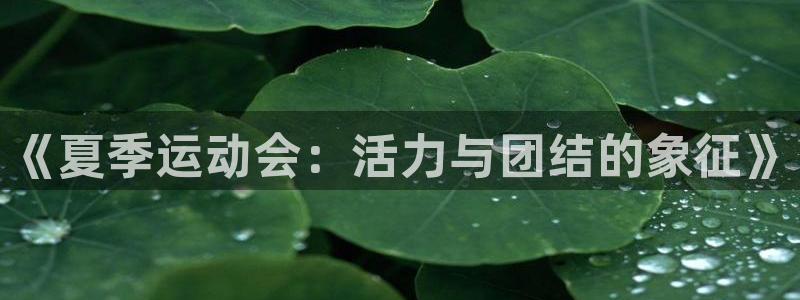 xc体育app官方网站：《夏季运动会：活力与团结的象征》