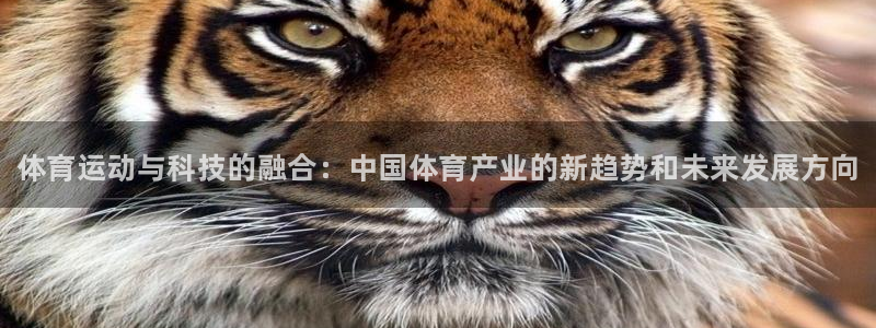 xc体育app官方网站：体育运动与科技的融合：中国体育产业的新趋势和未来发展方向