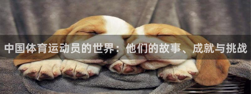xc体育app官方网站：中国体育运动员的世界：他们的故事、成就与挑战